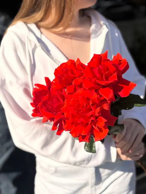 Французские розы 5 шт ( Nina )