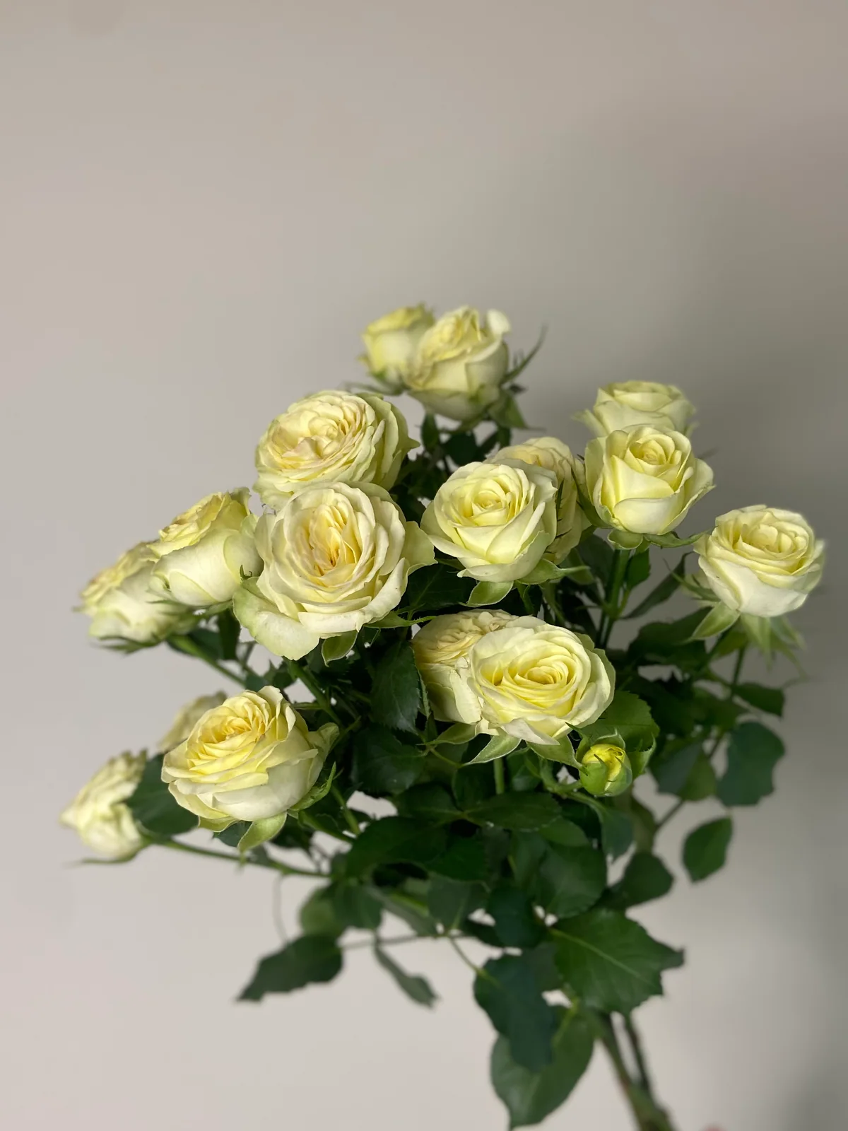 Кустовая Роза Wedding Invite/шт